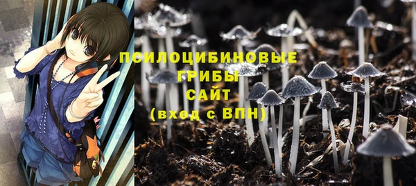 дурь Верхний Тагил