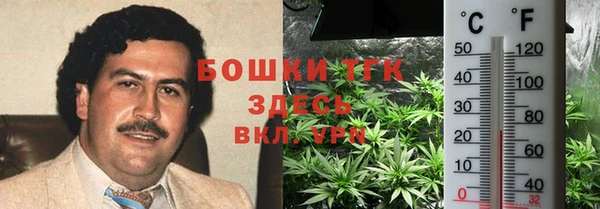 дурь Верхний Тагил